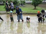 ７年６月１３日 (1).JPG