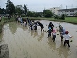 ７年６月１３日 (11).JPG