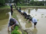 ７年６月１３日 (9).JPG