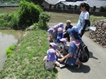 ７年６月２３日 (3).JPG