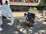 ７年６月２７日 (7).JPG