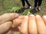 ７年６月６日 (10).JPG