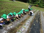 ７年６月６日 (2).JPG