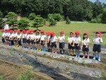 ７年６月６日 (3).JPG