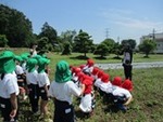 ７年６月６日 (6).JPG