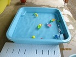 IMG_0020.JPG