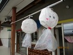 ７年７月１２日 (19).JPG