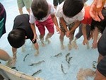 ７年７月１２日 (24).JPG