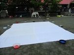 ７年７月１２日 (6).JPG