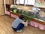 ７年７月４日 (12).JPG
