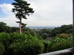 令和７年１０月２３日 (11).JPG