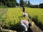 ７年１０月１７日 (3).JPG