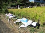 ７年１０月１７日 (4).JPG