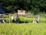 ７年１０月１７日 (5).JPG