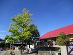７年１０月８日 (1).JPG